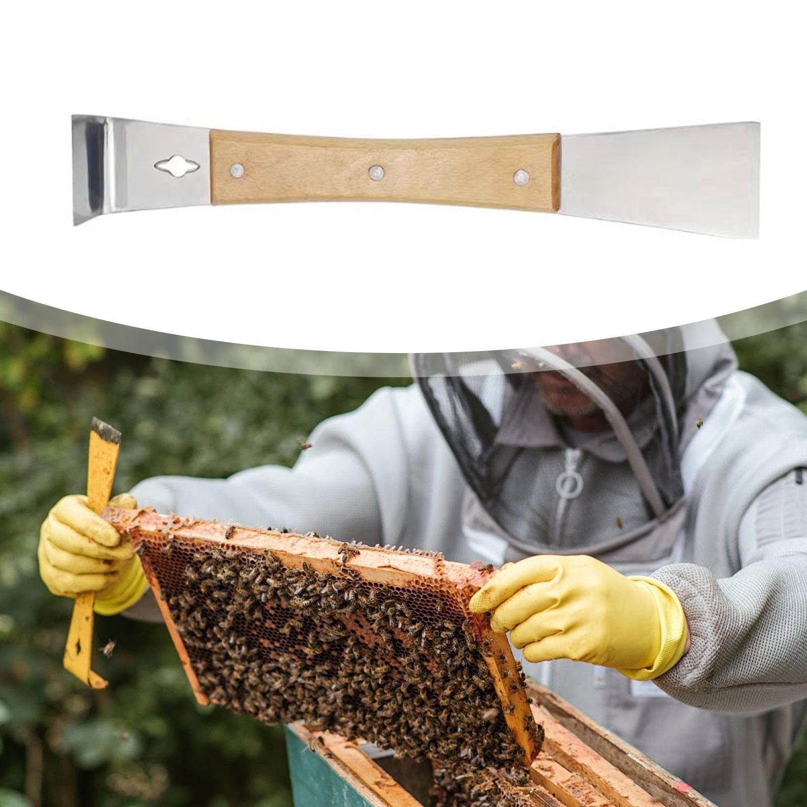 耐久性のあるステンレス鋼製蜂の巣スクレーパーツール、拡張木製 - Workshop Tools Knife のレビューと価格